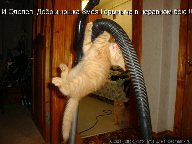 И Одолел Добрынюшка Змея Горыныча в неравном бою !!!... Котоматрица: И Одолел Добрынюшка Змея Горыныча в неравном бою !!!