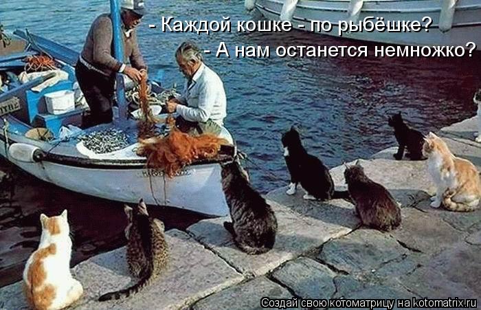 Котоматрица: - А нам останется немножко? - Каждой кошке - по рыбёшке?