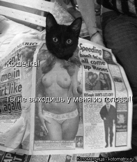 Кошечка! Ты не выходишь у меня из головы!!... Котоматрица: Кошечка! Ты не выходишь у меня из головы!!