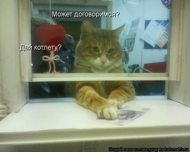 Может договоримся? Дай котлету?... Котоматрица: Может договоримся? Дай котлету?