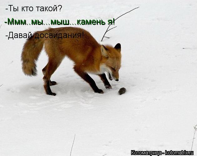-Ты кто такой? -Ммм..мы...мыш...камень я! -Давай досвидания!... Котоматрица: -Ты кто такой? -Ммм..мы...мыш...камень я! -Давай досвидания!