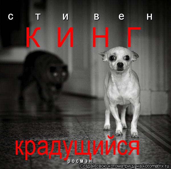 с т и в е н К И Н Г крадущийся р о с м э н... Котоматрица: с т и в е н К И Н Г крадущийся р о с м э н