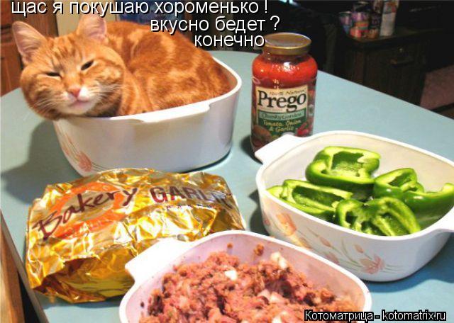 щас я покушаю хороменько вкусно бедет ! ? конечно... Котоматрица: щас я покушаю хороменько вкусно бедет ! ? конечно
