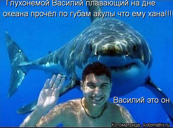 Котоматрица: Глухонемой Василий плавающий на дне океана прочёл по губам акулы что ему хана!!!!!!:) Василий это он