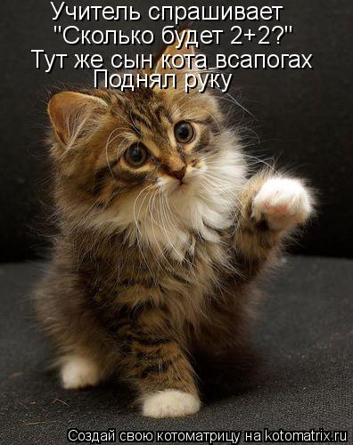 Учитель спрашивает "Сколько будет 2+2?" Тут же сын кота всапогах Поднял руку... Котоматрица: Учитель спрашивает "Сколько будет 2+2?" Тут же сын кота всапогах Поднял руку