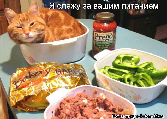 Я слежу за вашим питанием... Котоматрица: Я слежу за вашим питанием