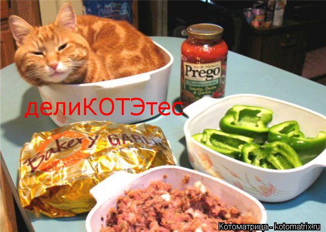 делиКОТЭтес... Котоматрица: делиКОТЭтес