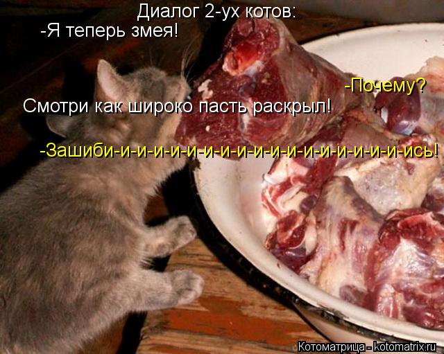 Диалог 2-ух котов: -Я теперь змея! -Почему? Смотри как широко пасть раскрыл! -Зашиби-и-и-и-и-и-и-и-и-... Котоматрица: Диалог 2-ух котов: -Я теперь змея! -Почему? Смотри как широко пасть раскрыл! -Зашиби-и-и-и-и-и-и-и-и-и-и-и-и-и-и-и-и-и-ись!