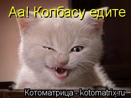 Аа! Колбасу едите... Котоматрица: Аа! Колбасу едите