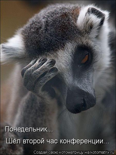 Понедельник... Шёл второй час конференции... Шёл второй час конференции... Понедельник...... Котоматрица: Понедельник... Шёл второй час конференции... Шёл второй час конференции... Понедельник...