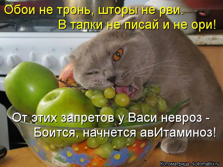 Обои не тронь, шторы не рви. Боится, начнется авИтаминоз! В тапки не писай и не ори! От этих запретов... Котоматрица: Обои не тронь, шторы не рви. Боится, начнется авИтаминоз! В тапки не писай и не ори! От этих запретов у Васи невроз -