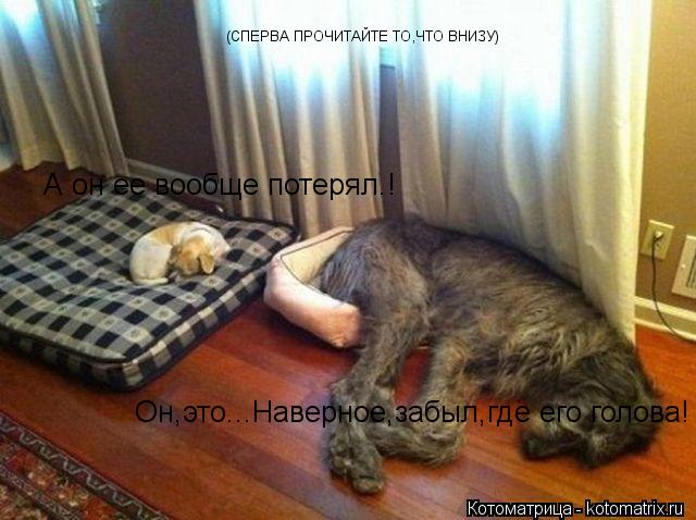 Он,это...Наверное,забыл,где его голова! (СПЕРВА ПРОЧИТАЙТЕ ТО,ЧТО ВНИЗУ) А он ее вообще потерял.!... Котоматрица: Он,это...Наверное,забыл,где его голова! (СПЕРВА ПРОЧИТАЙТЕ ТО,ЧТО ВНИЗУ) А он ее вообще потерял.!
