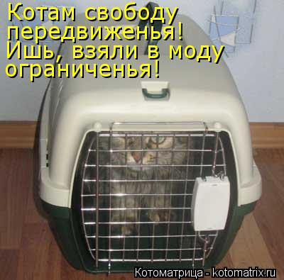 Котам свободу передвиженья! Ишь, взяли в моду ограниченья!... Котоматрица: Котам свободу передвиженья! Ишь, взяли в моду ограниченья!