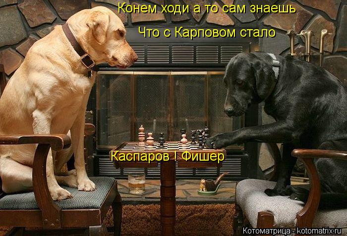 Каспаров ! Фишер Конем ходи а то сам знаешь Что с Карповом стало... Котоматрица: Каспаров ! Фишер Конем ходи а то сам знаешь Что с Карповом стало