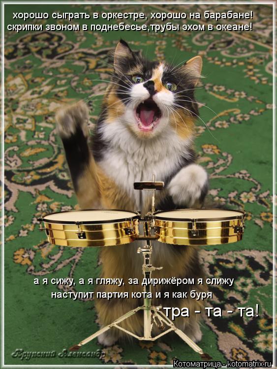 Котоматрица: хорошо сыграть в оркестре, хорошо на барабане! а я сижу, а я гляжу, за дирижёром я слижу наступит партия кота и я как буря скрипки звоном в под