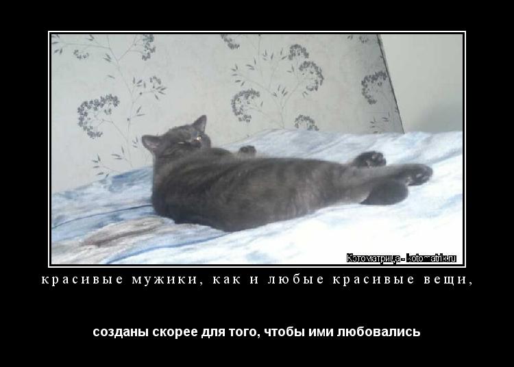 Котоматрица: красивые мужики, как и любые красивые вещи,  созданы скорее для того, чтобы ими любовались 