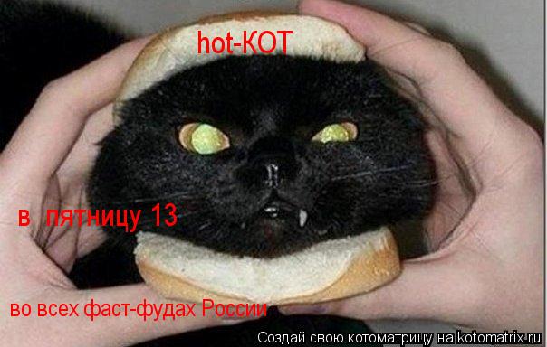 hot-КОТ в пятницу 13 во всех фаст-фудах России... Котоматрица: hot-КОТ в пятницу 13 во всех фаст-фудах России