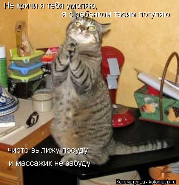 Котоматрица: Не кричи,я тебя умоляю, я с ребенком твоим погуляю чисто вылижу посуду и массажик не забуду