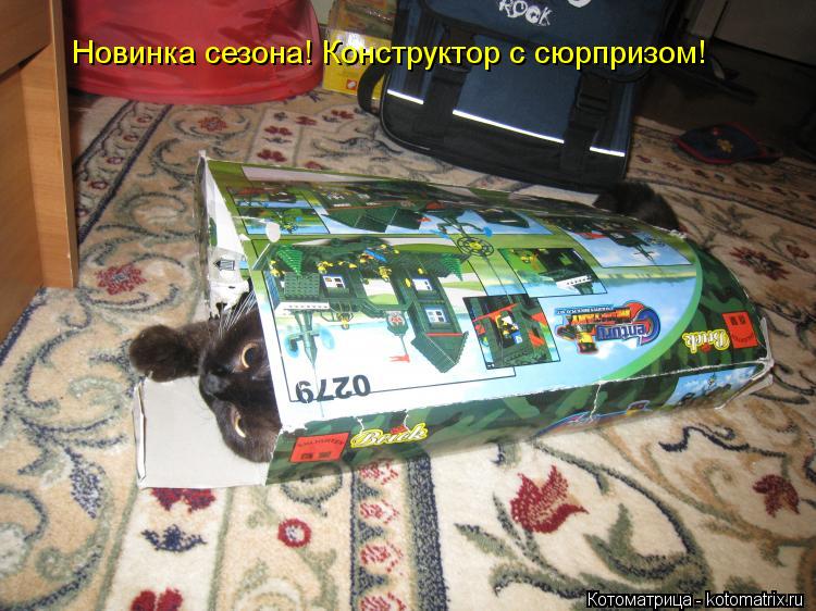Новинка сезона! Конструктор с сюрпризом!... Котоматрица: Новинка сезона! Конструктор с сюрпризом!