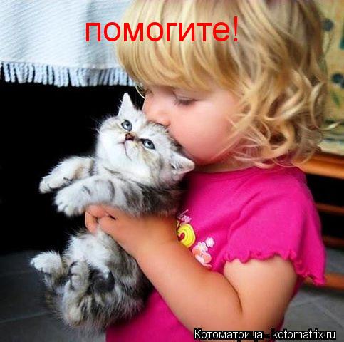 Котоматрица: помогите!