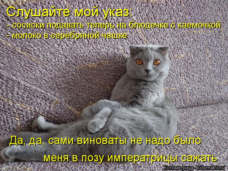 Слушайте мой указ: - сосиски подавать теперь на блюдечке с каемочкой - молоко в серебряной чашке Да, ... Котоматрица: Слушайте мой указ: - сосиски подавать теперь на блюдечке с каемочкой - молоко в серебряной чашке Да, да, сами виноваты не надо было меня в поз