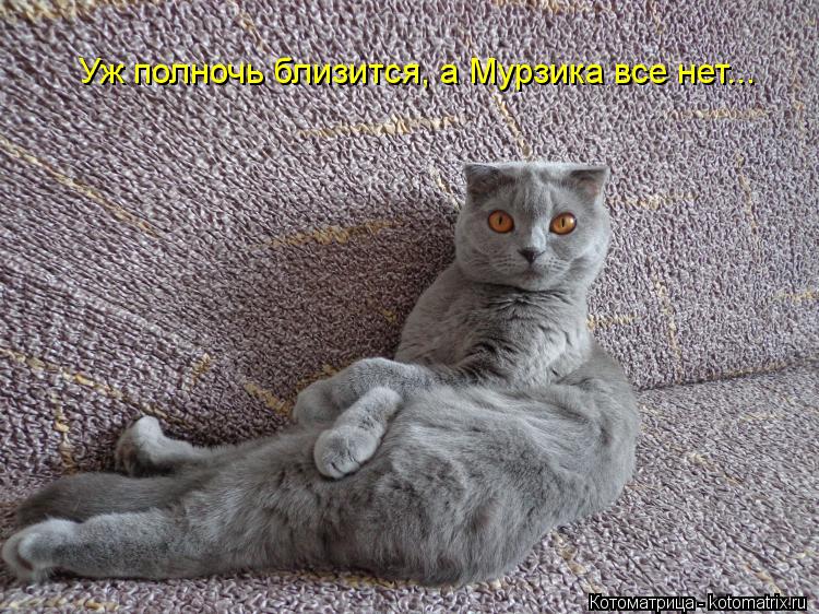 Уж полночь близится, а Мурзика все нет...... Котоматрица: Уж полночь близится, а Мурзика все нет...