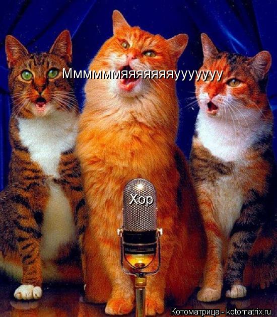 Хор Ммммммяяяяяяяууууууу... Котоматрица: Хор Ммммммяяяяяяяууууууу