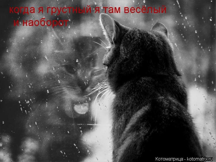 Котоматрица: когда я грустный я там весёлый и наоборот и наоборот