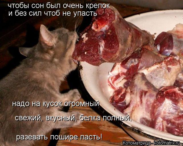 чтобы сон был очень крепок и без сил чтоб не упасть надо на кусок огромный свежий, вкусный, белка пол... Котоматрица: чтобы сон был очень крепок и без сил чтоб не упасть надо на кусок огромный свежий, вкусный, белка полный, разевать пошире пасть!
