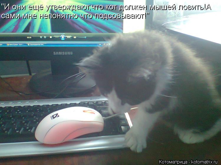 "И они ещё утверждают,что кот должен мышей ловить!А сами мне непонятно что подсовывают!"... Котоматрица: "И они ещё утверждают,что кот должен мышей ловить!А сами мне непонятно что подсовывают!"