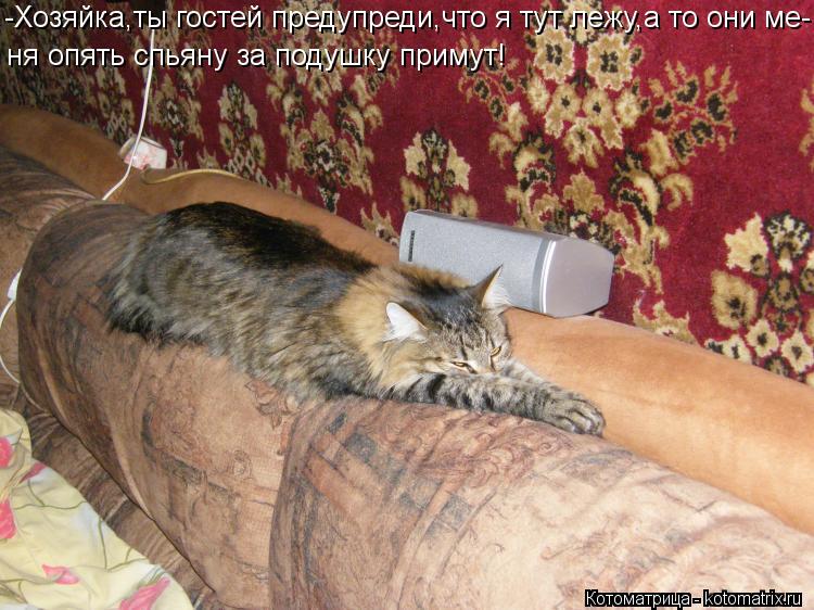 -Хозяйка,ты гостей предупреди,что я тут лежу,а то они ме- ня опять спьяну за подушку примут!... Котоматрица: -Хозяйка,ты гостей предупреди,что я тут лежу,а то они ме- ня опять спьяну за подушку примут!