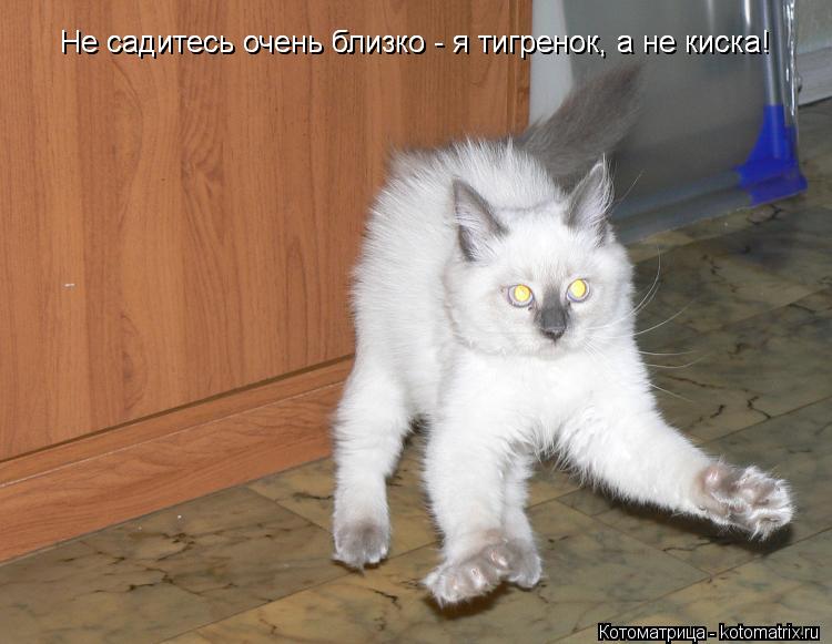 sela-kisoy-na-litso