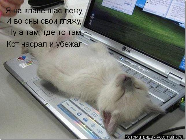 Я на клаве щас лежу, И во сны свои гляжу, Ну а там, где-то там Кот насрал и убежал... Котоматрица: Я на клаве щас лежу, И во сны свои гляжу, Ну а там, где-то там Кот насрал и убежал