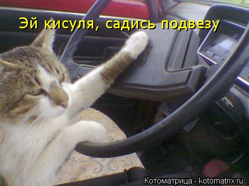 Котоматрица: Эй кисуля, садись подвезу