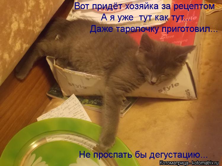 Котоматрица: Вот придёт хозяйка за рецептом А я уже  тут как тут... Даже тарелочку приготовил... Не проспать бы дегустацию...