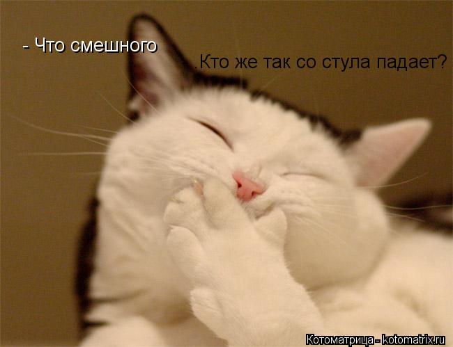 Котоматрица: - Что смешного - .Кто же так со стула падает?