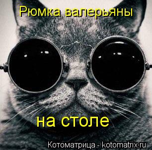 Котоматрица: Рюмка валерьяны на столе