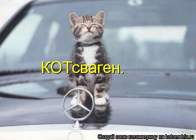 КОТсваген.... Котоматрица: КОТсваген.