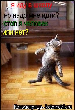 я иду в школу но надо мне идти? стоп я человек или нет?... Котоматрица: я иду в школу но надо мне идти? стоп я человек или нет?