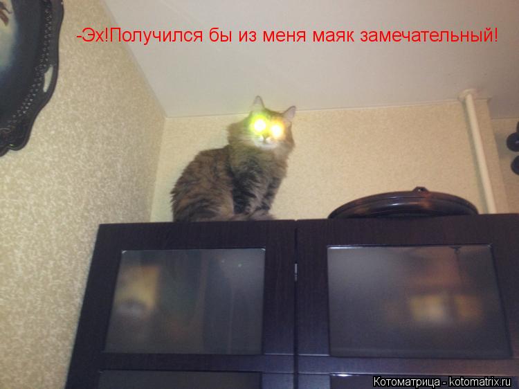 -Эх!Получился бы из меня маяк замечательный!... Котоматрица: -Эх!Получился бы из меня маяк замечательный!