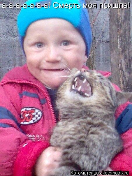 Котоматрица: а-а-а-а-а-а-а! Смерть моя пришла!