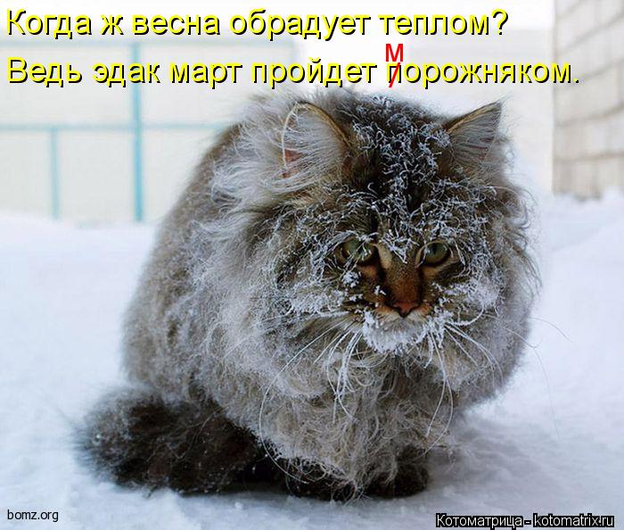 Котоматрица: Когда ж весна обрадует теплом? Ведь эдак март пройдет порожняком. / м