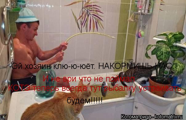 Котоматрица: -Эй хозяин клю-ю-юёт. НАКОРМИШЬ НАС И не ври что не поймал КОТЭ теперь всегда тут рыбалку устраивать  будем!!!!!