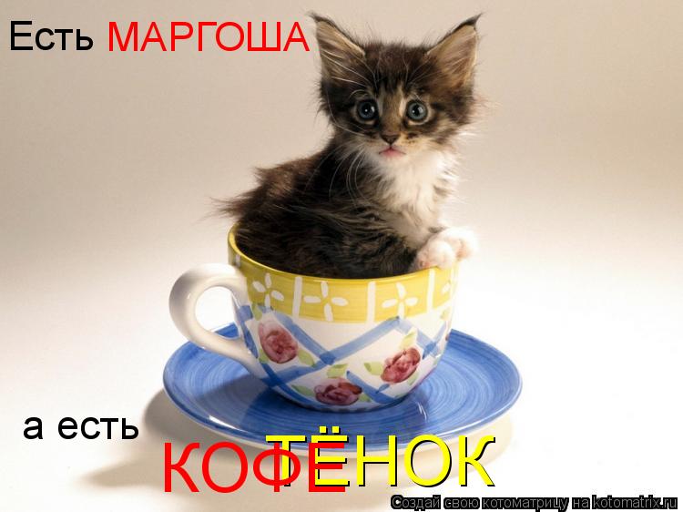 Котоматрица: ТЁНОК КОФЕ Есть   МАРГОША а есть