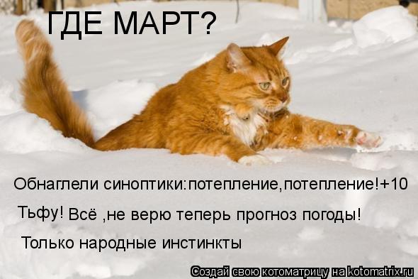 Котоматрица: ГДЕ МАРТ?  Обнаглели синоптики:потепление,потепление!+10 Тьфу! Всё ,не верю теперь прогноз погоды! Только народные инстинкты