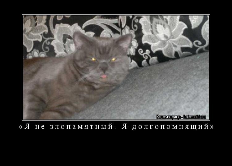 Котоматрица: «Я не злопамятный. Я долгопомнящий» 