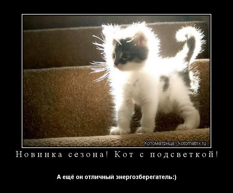 Новинка сезона! Кот с подсветкой! А ещё он отличный энергозберегатель:)... Котоматрица: Новинка сезона! Кот с подсветкой! А ещё он отличный энергозберегатель:)