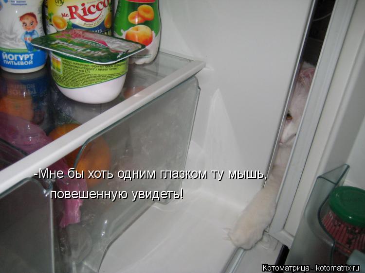 Котоматрица: -Мне бы хоть одним глазком ту мышь,  повешенную увидеть!