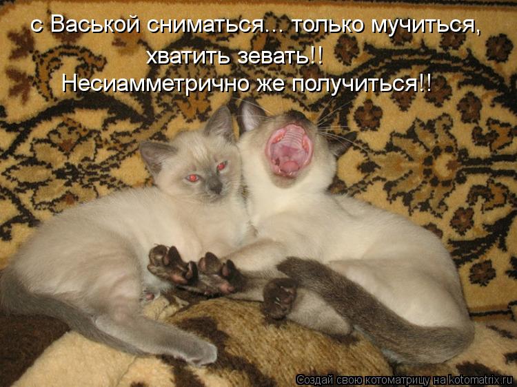 с Васькой сниматься... только мучиться, хватить зевать!! Несиамметрично же получиться!!... Котоматрица: с Васькой сниматься... только мучиться, хватить зевать!! Несиамметрично же получиться!!