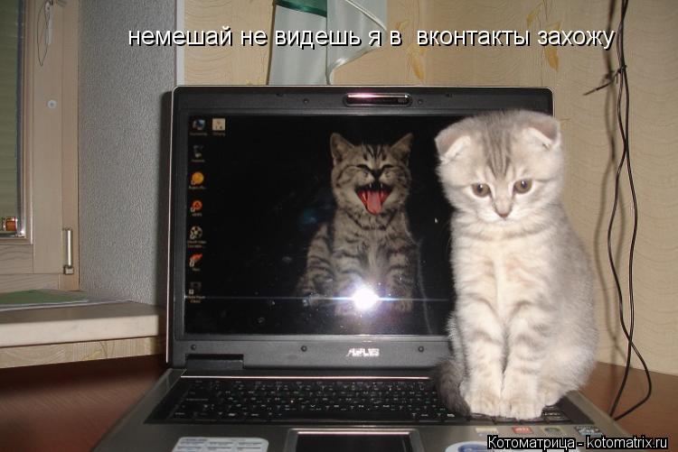 немешай не видешь я в вконтакты захожу... Котоматрица: немешай не видешь я в вконтакты захожу